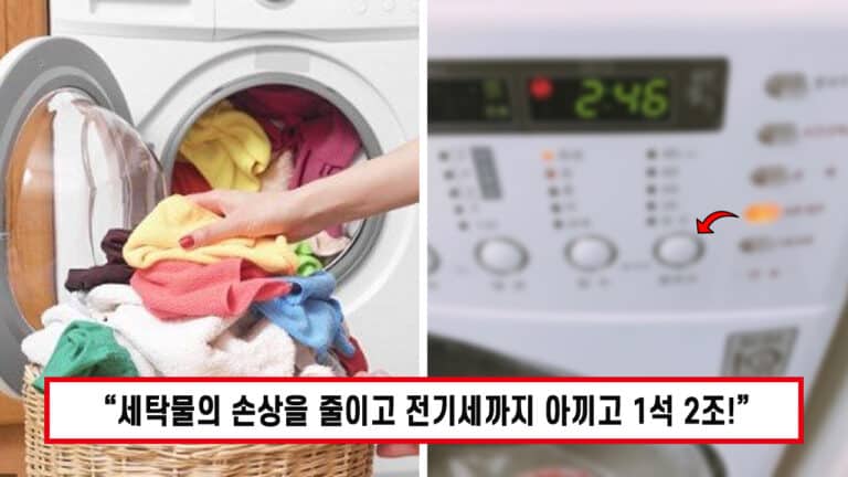 “이건 진짜 몰랐던건데..” 버튼 하나로 전기세를 최대 28배나 아낄 수 있다는 세탁기 사용법